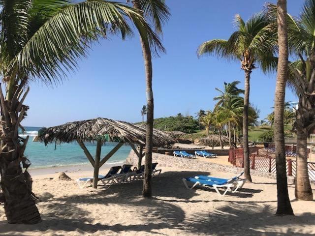 Gwada Cocoon & Blue Lagoon, 2 Studios Cote A Cote Au Manganao A St Francois & Choisissez Le Plus Adapte Saint-Francois  Exterior foto